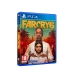 PlayStation 4 videospill Sony PS4 FARCRY6