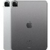 Tablet Apple MNXF3TY/A M2 8 GB RAM 256 GB Grey