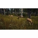 Xbox Series X Videojogo THQ Nordic Way of the Hunter: Hunting Season One