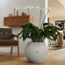Self-watering flowerpot Lechuza Grey Sphere