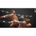PlayStation 4 Videospel THQ Nordic AEW All Elite Wrestling Fight Forever