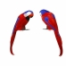 Papagaio Multicolor