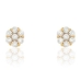 Ladies' Earrings Stroili 14011047