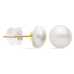 Ladies' Earrings Stroili 14009815