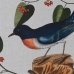 Картина DKD Home Decor Стеклянный птицы 65 x 16,5 x 50,2 cm (4 Предметы)