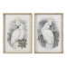 Maľba DKD Home Decor 50 x 2,8 x 70 cm Koloniálny štýl papagáj (2 kusov)