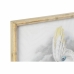 Maalaus DKD Home Decor 50 x 2,8 x 70 cm Siirtomaatyylinen Papukaija (2 osaa)