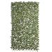 Gitter Natural Laurel flettet Bambus 2 x 200 x 100 cm