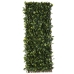 Ristikko Natural Laurel korihuonekalut Bambu 2 x 200 x 100 cm