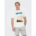 Men’s Short Sleeve T-Shirt Only & Sons Onskolton Reg Beach White