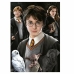 Puzzel Harry Potter 1000 Onderdelen