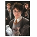 Pussel Harry Potter 1000 Delar