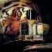 Perfume Unisex Vertus Bengal EDP 100 ml