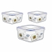 Set of lunch boxes Dem Hermetic 3 Pieces 500 ml 18 x 18 x 10 cm (6 Units)