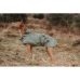 Παλτό Σκύλου Hunter Milford Πράσινο 50 cm