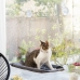 Rippuv kassi võrkkiik Catlax InnovaGoods