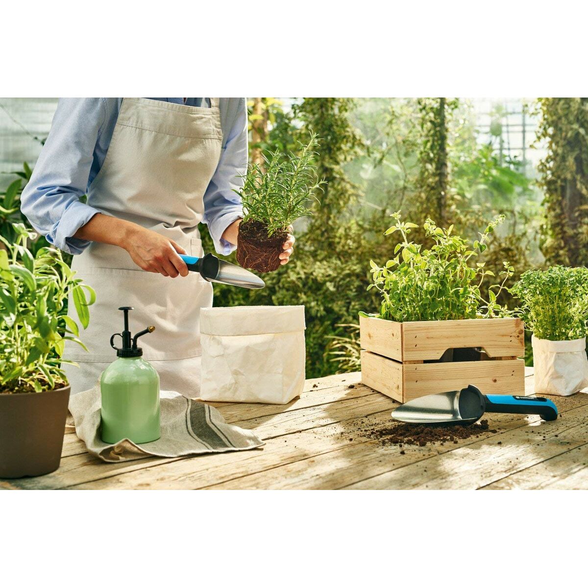Transplanter (kort handvat) Cellfast Groot