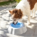 Vėsinantis vandens indas gyvūnams Freshty InnovaGoods