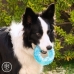 Замораживаемая жевательная игрушка 2-в-1 для домашних животных Glubiz InnovaGoods