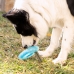 2-in-1 šaldomas naminių gyvūnėlių kramtomasis žaislas Glubiz InnovaGoods