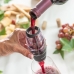 Vinluftare med filter, hållare och lock Wineir InnovaGoods