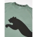 Herren Kurzarm-T-Shirt Puma 523863 44 grün (M)