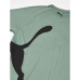 Kortarmet T-skjorte til Menn Puma 523863 44 Grønn (M)