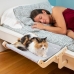 Viseča mrežasta postelja za mačke Hamacat InnovaGoods