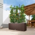 Jardinieră cu auto-udare Lechuza TRIO Cottage Negru polipropilenă 100 x 32,5 x 34,5 cm