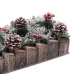 Julelys Holder Hvid Rød Grøn Natur Træ Krystal Plastik 30 x 15 cm