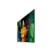 Écran Videowall Samsung QM50C 4K Ultra HD 50