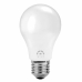 LED lemputė Iglux XST-0927-F V2 9 W E27 1820 Lm (5000 K) (5500 K)