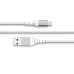 USB Kabelis Big Ben Interactive FPLIAMIC2MW Balts 2 m (1 gb.)