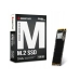 Pevný disk Biostar M700 128 GB SSD