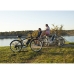 Elektromos kerékpár Huffy Everett+ Ezüst színű 250 W 350 W 27,5