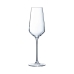 Čaša za šampanjac Chef & Sommelier Distinction Staklo 230 ml