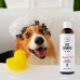 Shampoo per animali domestici Pets 250 ml Gatto Olio d'Argan