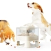 Dog Feeder Doggy Village Auto-Buffet White 50 x 28 x 50 cm