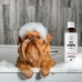 Șampon pentru animale de companie Pets Aloe Vera 250 ml Cric
