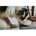 Karmnik dla psów Hunter Biały Ceramika Silikon 900 ml