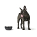 Dog Feeder Hunter Black Ceramic Silicone 900 ml Modern