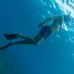 Potápěcí brýle se šnorchlem a ploutvemi Bestway Vícebarevný 41-46 Dospělý (1 kusů)