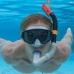 Snorkel beskyttelsesbriller og rør til børn Bestway Blå Sort Voksen