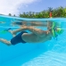 Dykmask med snorkel och simfötter Bestway Multicolour 37-41 (1 antal)