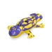 Φουσκωτή Σανίδα Bestway Salamander 191 x 119 cm