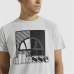Kortærmet T-shirt til Mænd Ellesse Chamuel Grå
