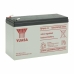 Bateria para Sistema Interactivo de Fornecimento Ininterrupto de Energia Yuasa NPW45-12 12 V
