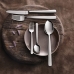 Набор десертных ножей Amefa Tokyo Металл Нержавеющая сталь Сталь (12 штук)