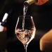 Sæt med vinglas Chef&Sommelier Exaltation Gennemsigtig 550 ml (6 enheder)