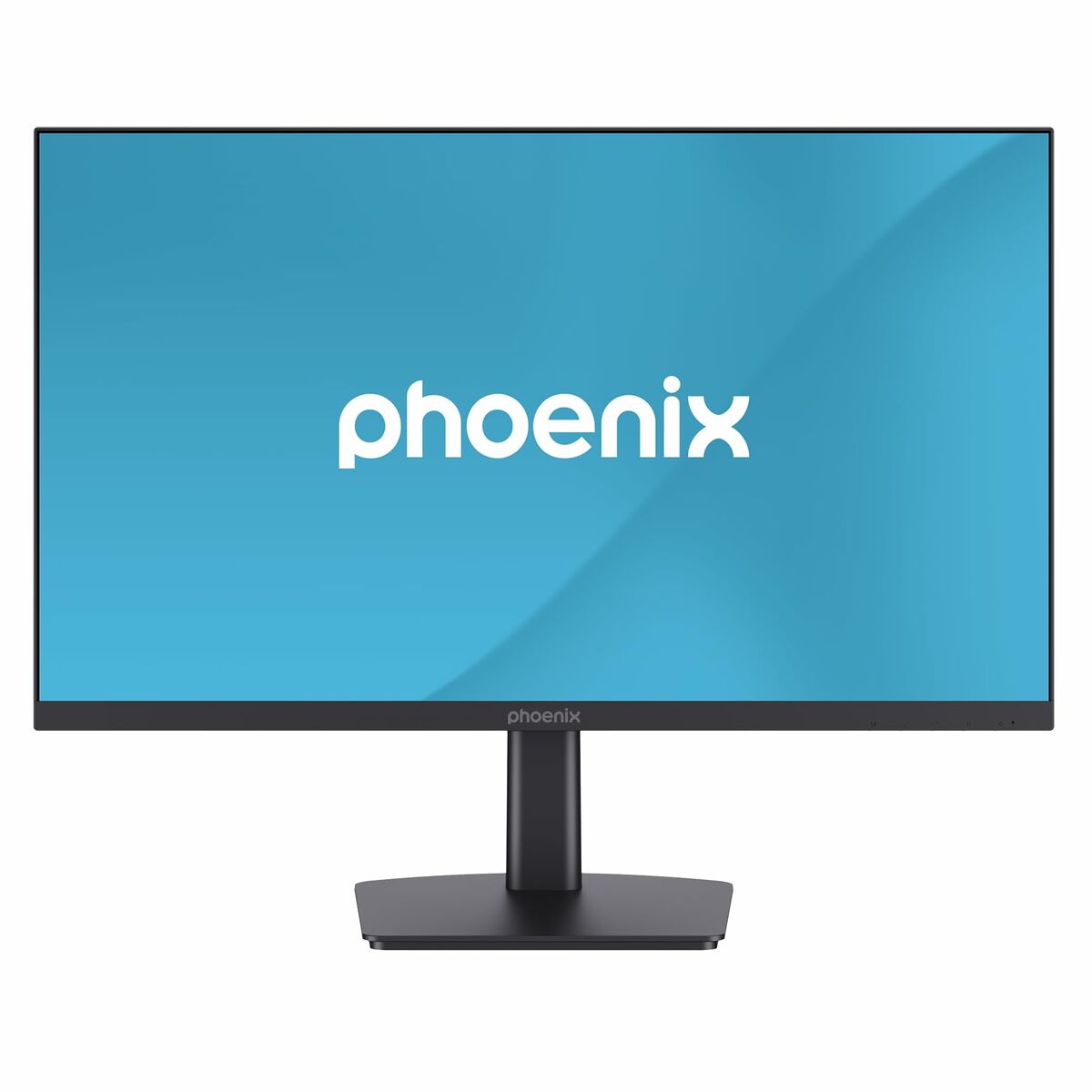 Skærm Phoenix VISION 24"
